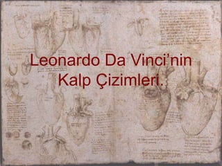 Leonardo Da Vinci’ninKalpÇizimleri.  