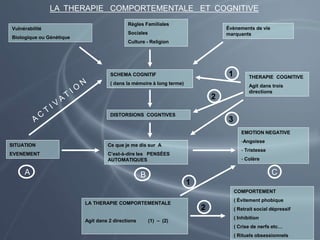 LA THERAPIE COMPORTEMENTALE ET COGNITIVE
Vulnérabilité
Biologique ou Génétique
Règles Familiales
Sociales
Culture - Religion
Évènements de vie
marquants
SCHEMA COGNITIF
( dans la mémoire à long terme)
DISTORSIONS COGNTIVES
Ce que je me dis sur A
C’est-à-dire les PENSÉES
AUTOMATIQUES
LA THERAPIE COMPORTEMENTALE
Agit dans 2 directions (1) – (2)
SITUATION
EVENEMENT
THERAPIE COGNITIVE
Agit dans trois
directions
EMOTION NEGATIVE
-Angoisse
- Tristesse
- Colère
COMPORTEMENT
( Évitement phobique
( Retrait social dépressif
( Inhibition
( Crise de nerfs etc…
( Rituels obsessionnels
1
2
3
1
2
A B C
 