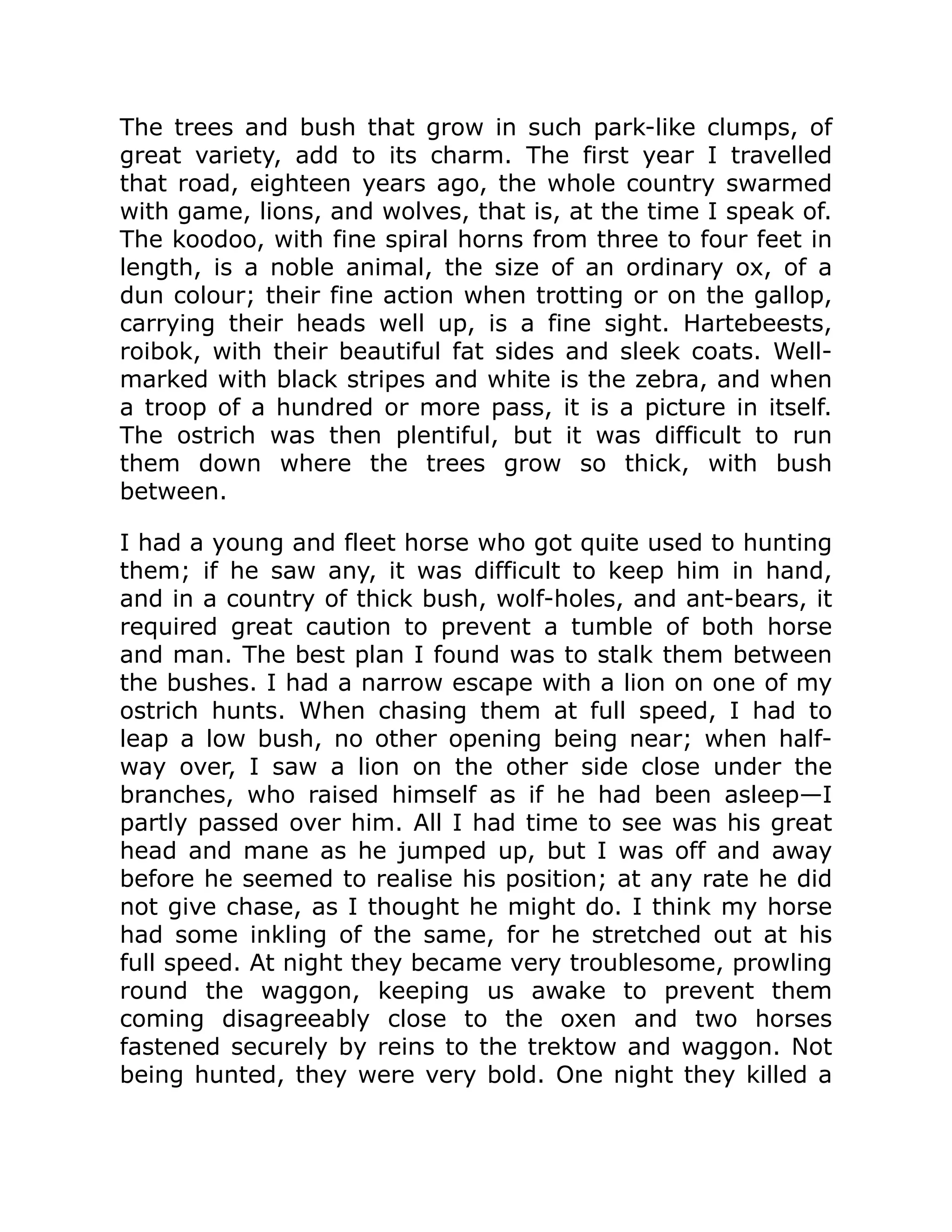 The trees and bush that grow in such park-like clumps, of
great variety, add to its charm. The first year I travelled
that road, eighteen years ago, the whole country swarmed
with game, lions, and wolves, that is, at the time I speak of.
The koodoo, with fine spiral horns from three to four feet in
length, is a noble animal, the size of an ordinary ox, of a
dun colour; their fine action when trotting or on the gallop,
carrying their heads well up, is a fine sight. Hartebeests,
roibok, with their beautiful fat sides and sleek coats. Well-
marked with black stripes and white is the zebra, and when
a troop of a hundred or more pass, it is a picture in itself.
The ostrich was then plentiful, but it was difficult to run
them down where the trees grow so thick, with bush
between.
I had a young and fleet horse who got quite used to hunting
them; if he saw any, it was difficult to keep him in hand,
and in a country of thick bush, wolf-holes, and ant-bears, it
required great caution to prevent a tumble of both horse
and man. The best plan I found was to stalk them between
the bushes. I had a narrow escape with a lion on one of my
ostrich hunts. When chasing them at full speed, I had to
leap a low bush, no other opening being near; when half-
way over, I saw a lion on the other side close under the
branches, who raised himself as if he had been asleep—I
partly passed over him. All I had time to see was his great
head and mane as he jumped up, but I was off and away
before he seemed to realise his position; at any rate he did
not give chase, as I thought he might do. I think my horse
had some inkling of the same, for he stretched out at his
full speed. At night they became very troublesome, prowling
round the waggon, keeping us awake to prevent them
coming disagreeably close to the oxen and two horses
fastened securely by reins to the trektow and waggon. Not
being hunted, they were very bold. One night they killed a
 