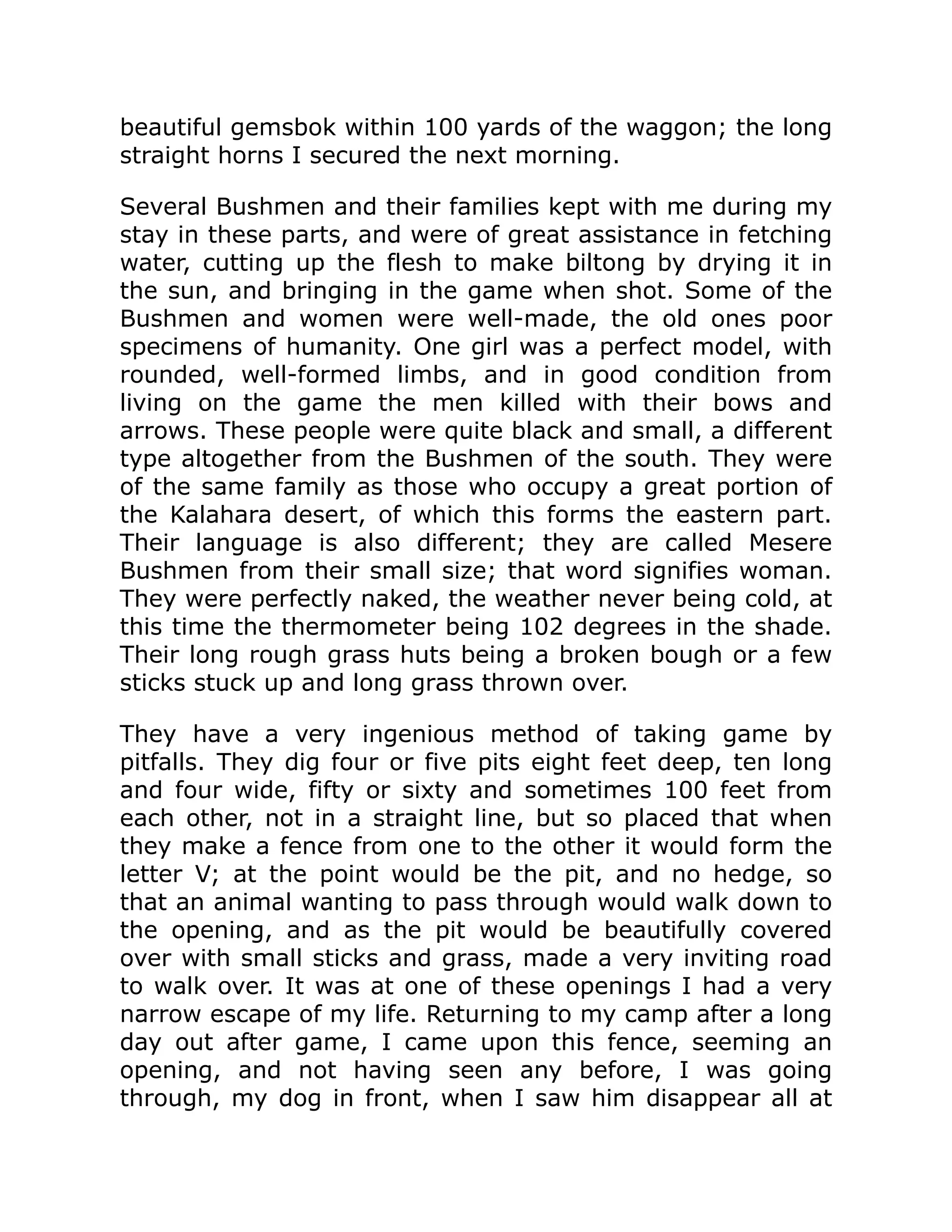 beautiful gemsbok within 100 yards of the waggon; the long
straight horns I secured the next morning.
Several Bushmen and their families kept with me during my
stay in these parts, and were of great assistance in fetching
water, cutting up the flesh to make biltong by drying it in
the sun, and bringing in the game when shot. Some of the
Bushmen and women were well-made, the old ones poor
specimens of humanity. One girl was a perfect model, with
rounded, well-formed limbs, and in good condition from
living on the game the men killed with their bows and
arrows. These people were quite black and small, a different
type altogether from the Bushmen of the south. They were
of the same family as those who occupy a great portion of
the Kalahara desert, of which this forms the eastern part.
Their language is also different; they are called Mesere
Bushmen from their small size; that word signifies woman.
They were perfectly naked, the weather never being cold, at
this time the thermometer being 102 degrees in the shade.
Their long rough grass huts being a broken bough or a few
sticks stuck up and long grass thrown over.
They have a very ingenious method of taking game by
pitfalls. They dig four or five pits eight feet deep, ten long
and four wide, fifty or sixty and sometimes 100 feet from
each other, not in a straight line, but so placed that when
they make a fence from one to the other it would form the
letter V; at the point would be the pit, and no hedge, so
that an animal wanting to pass through would walk down to
the opening, and as the pit would be beautifully covered
over with small sticks and grass, made a very inviting road
to walk over. It was at one of these openings I had a very
narrow escape of my life. Returning to my camp after a long
day out after game, I came upon this fence, seeming an
opening, and not having seen any before, I was going
through, my dog in front, when I saw him disappear all at
 