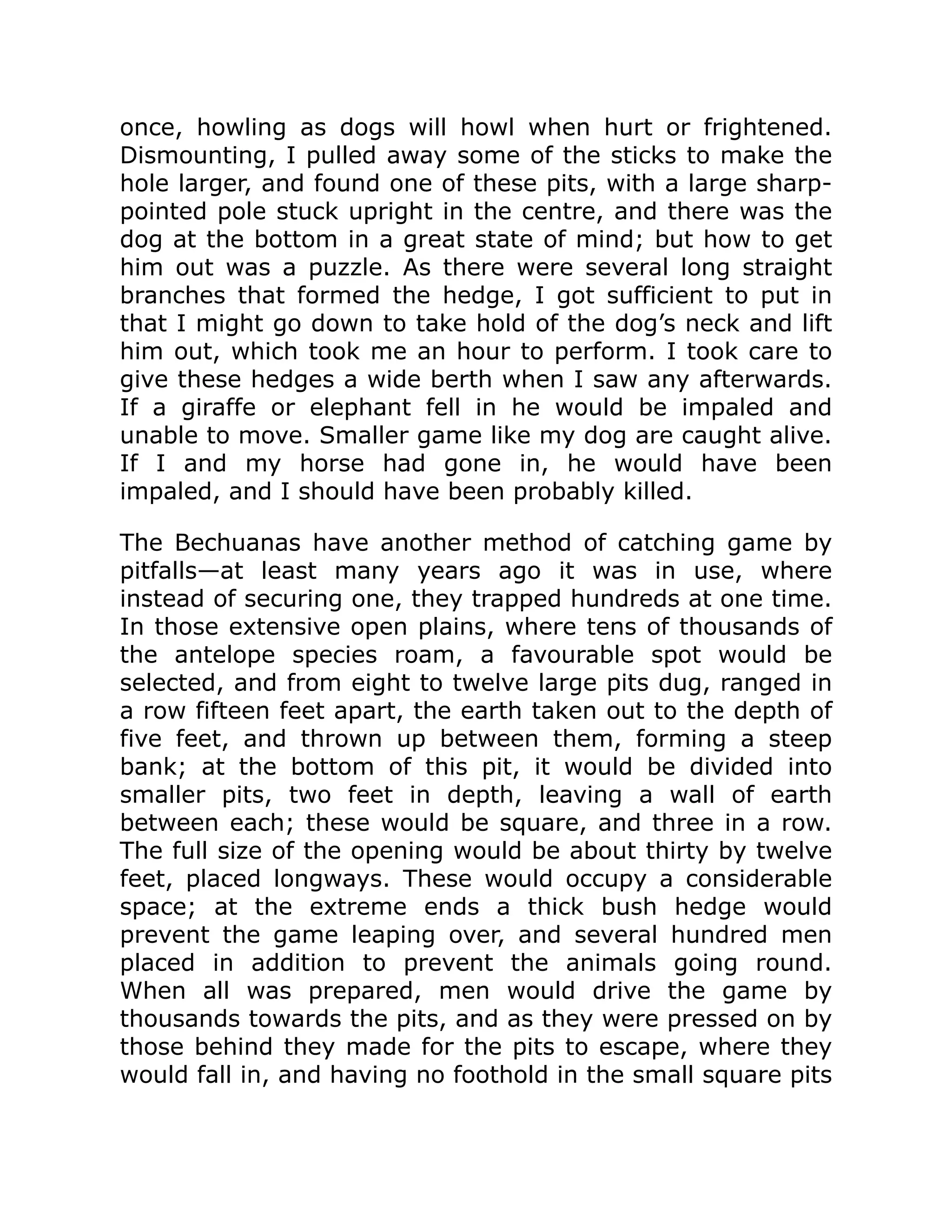 once, howling as dogs will howl when hurt or frightened.
Dismounting, I pulled away some of the sticks to make the
hole larger, and found one of these pits, with a large sharp-
pointed pole stuck upright in the centre, and there was the
dog at the bottom in a great state of mind; but how to get
him out was a puzzle. As there were several long straight
branches that formed the hedge, I got sufficient to put in
that I might go down to take hold of the dog’s neck and lift
him out, which took me an hour to perform. I took care to
give these hedges a wide berth when I saw any afterwards.
If a giraffe or elephant fell in he would be impaled and
unable to move. Smaller game like my dog are caught alive.
If I and my horse had gone in, he would have been
impaled, and I should have been probably killed.
The Bechuanas have another method of catching game by
pitfalls—at least many years ago it was in use, where
instead of securing one, they trapped hundreds at one time.
In those extensive open plains, where tens of thousands of
the antelope species roam, a favourable spot would be
selected, and from eight to twelve large pits dug, ranged in
a row fifteen feet apart, the earth taken out to the depth of
five feet, and thrown up between them, forming a steep
bank; at the bottom of this pit, it would be divided into
smaller pits, two feet in depth, leaving a wall of earth
between each; these would be square, and three in a row.
The full size of the opening would be about thirty by twelve
feet, placed longways. These would occupy a considerable
space; at the extreme ends a thick bush hedge would
prevent the game leaping over, and several hundred men
placed in addition to prevent the animals going round.
When all was prepared, men would drive the game by
thousands towards the pits, and as they were pressed on by
those behind they made for the pits to escape, where they
would fall in, and having no foothold in the small square pits
 