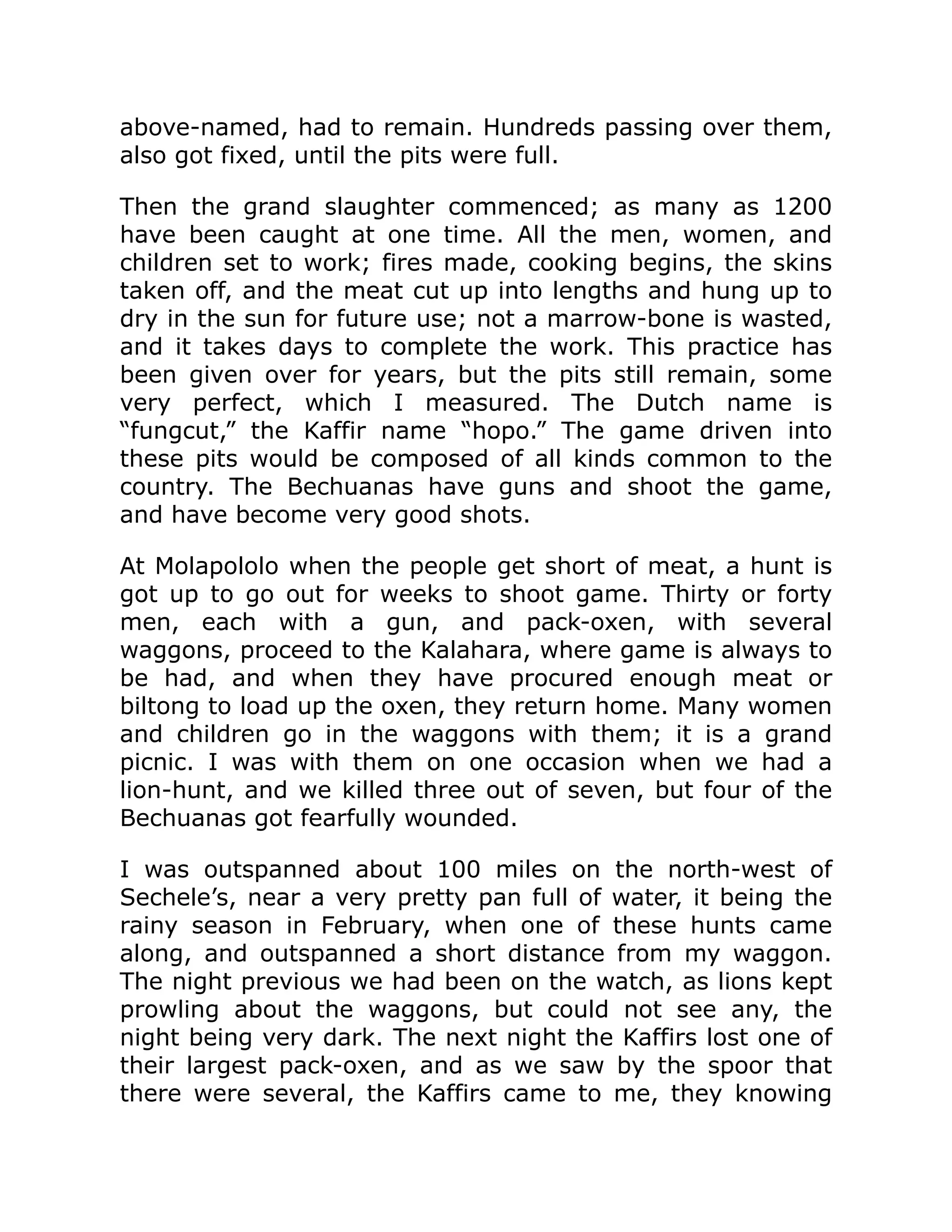above-named, had to remain. Hundreds passing over them,
also got fixed, until the pits were full.
Then the grand slaughter commenced; as many as 1200
have been caught at one time. All the men, women, and
children set to work; fires made, cooking begins, the skins
taken off, and the meat cut up into lengths and hung up to
dry in the sun for future use; not a marrow-bone is wasted,
and it takes days to complete the work. This practice has
been given over for years, but the pits still remain, some
very perfect, which I measured. The Dutch name is
“fungcut,” the Kaffir name “hopo.” The game driven into
these pits would be composed of all kinds common to the
country. The Bechuanas have guns and shoot the game,
and have become very good shots.
At Molapololo when the people get short of meat, a hunt is
got up to go out for weeks to shoot game. Thirty or forty
men, each with a gun, and pack-oxen, with several
waggons, proceed to the Kalahara, where game is always to
be had, and when they have procured enough meat or
biltong to load up the oxen, they return home. Many women
and children go in the waggons with them; it is a grand
picnic. I was with them on one occasion when we had a
lion-hunt, and we killed three out of seven, but four of the
Bechuanas got fearfully wounded.
I was outspanned about 100 miles on the north-west of
Sechele’s, near a very pretty pan full of water, it being the
rainy season in February, when one of these hunts came
along, and outspanned a short distance from my waggon.
The night previous we had been on the watch, as lions kept
prowling about the waggons, but could not see any, the
night being very dark. The next night the Kaffirs lost one of
their largest pack-oxen, and as we saw by the spoor that
there were several, the Kaffirs came to me, they knowing
 