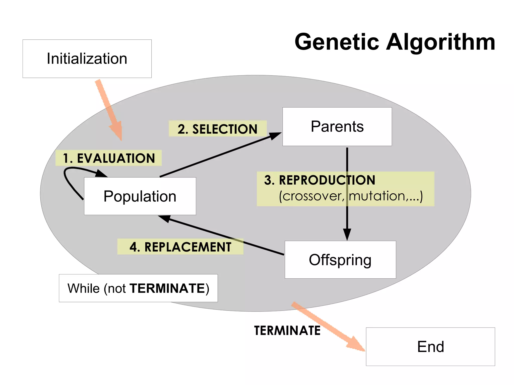 Genetic Algorithm
Initialization



                       2. SELECTION           Parents

  1. EVALUATION
                                      3. REPRODUCTION
         Population                      (crossover, mutation,...)


                 4. REPLACEMENT
                                             Offspring
   While (not TERMINATE)


                                  TERMINATE
                                                                End
 