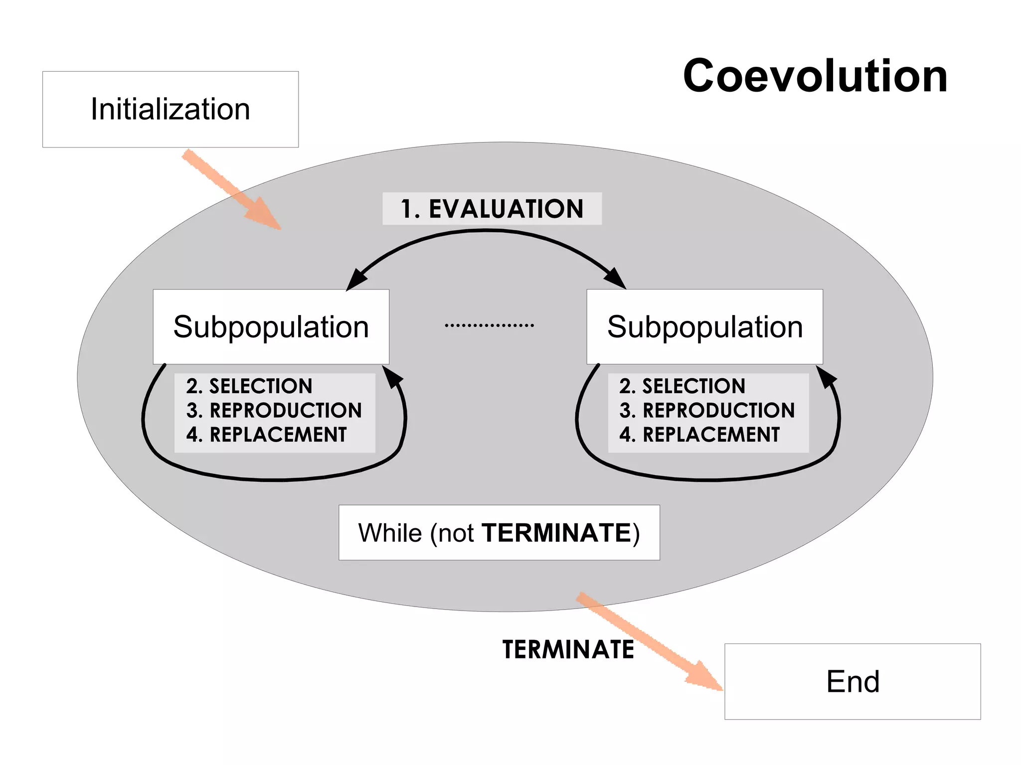 Coevolution
Initialization


                          1. EVALUATION



                             ................
       Subpopulation                            Subpopulation
        2. SELECTION                            2. SELECTION
        3. REPRODUCTION                         3. REPRODUCTION
        4. REPLACEMENT                          4. REPLACEMENT



                      While (not TERMINATE)



                                       TERMINATE
                                                                  End
 