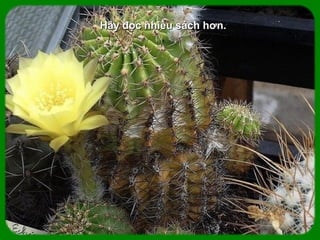 Hãy đọc nhiều sách hơn.
 