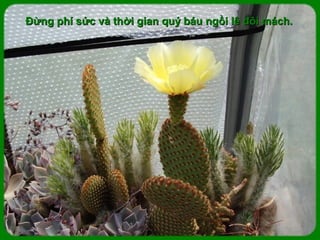 Đừng phí sức và thời gian quý báu ngồi lê đôi mách.
 