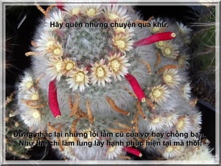 Hãy quên những chuyện quá khứ.




Đừng nhắc lại những lỗi lầm cũ của vợ hay chồng bạn.
 Như thế chỉ làm lung lay hạnh phúc hiện tại mà thôi.
 