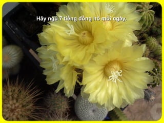 Hãy ngủ 7 tiếng đồng hồ mỗi ngày.
 