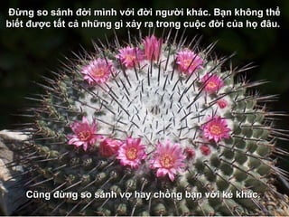 Đừng so sánh đời mình với đời người khác. Bạn không thể
biết được tất cả những gì xảy ra trong cuộc đời của họ đâu.




    Cũng đừng so sánh vợ hay chồng bạn với kẻ khác.
 