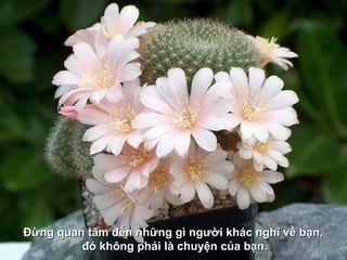 Đừng quan tâm đến những gì người khác nghĩ về bạn,
         đó không phải là chuyện của bạn.
 