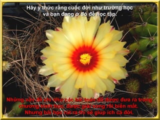 Hãy ý thức rằng cuộc đời như trường học
             và bạn đang ở đó để học tập.




Những vấn đề chỉ như các bài toán đố được đưa ra trong
   chương trình học, được giải xong rồi biến mất.
      Nhưng bài học rút ra thì sẽ giúp ích cả đời.
 