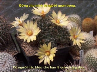 Đừng cho mình là người quan trọng.




Có người nào khác cho bạn là quan trọng đâu.
 