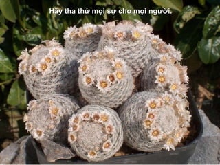 Hãy tha thứ mọi sự cho mọi người.
 
