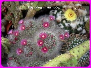 Hãy uống nhiều nước.
 