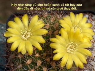 Hãy nhớ rằng dù cho hoàn cảnh có tốt hay xấu
   đến đâu đi nữa, thì nó cũng sẽ thay đổi.
 