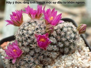 Hãy ý thức rằng tình bạn là một sự đầu tư khôn ngoan.
 