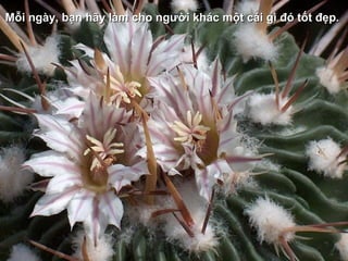 Mỗi ngày, bạn hãy làm cho người khác một cái gì đó tốt đẹp.
 
