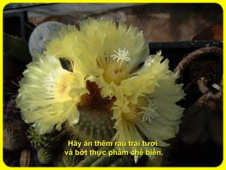 Hãy ăn thêm rau trái tươi
và bớt thực phẩm chế biến.
 