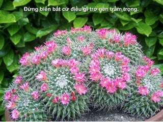 Đừng biến bất cứ điều gì trở nên trầm trọng.
 