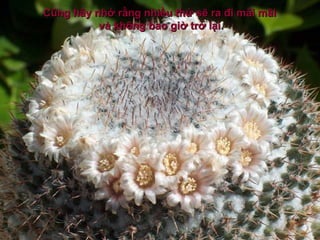 Cũng hãy nhớ rằng nhiều thứ sẽ ra đi mãi mãi
          và không bao giờ trở lại.
 