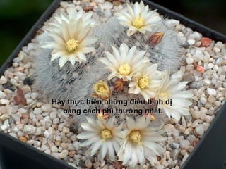 Hãy thực hiện những điều bình dị
  bằng cách phi thường nhất.
 