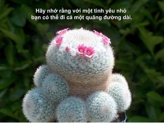 Hãy nhớ rằng với một tình yêu nhỏ
bạn có thể đi cả một quãng đường dài.
 