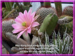 Hãy dùng bữa sáng như ông hoàng,
   bữa trưa như người nhà giàu
    và bữa tối như người ăn xin.
 