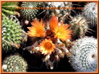 Hãy mỉm cười và cười lên nhiều hơn nữa.
 