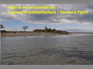 Hjarnø en erosionstruet  submarin ertebølleplads i Horsens Fjord 