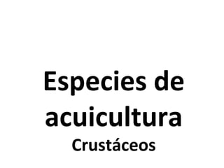 Especies de
acuicultura
Crustáceos
 