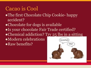 Cacao is Cool
●The first Chocolate Chip Cookie- happy
accident?
●Chocolate for dogs is available
●Is your chocolate Fair Trade certified?
●Chemical addiction? Try 25 lbs in a sitting
●Modern celebrations
●Raw benefits?
 