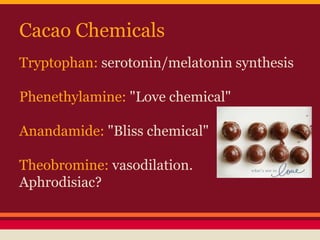 Cacao Chemicals
Tryptophan: serotonin/melatonin synthesis
Phenethylamine: "Love chemical"
Anandamide: "Bliss chemical"
Theobromine: vasodilation.
Aphrodisiac?
 