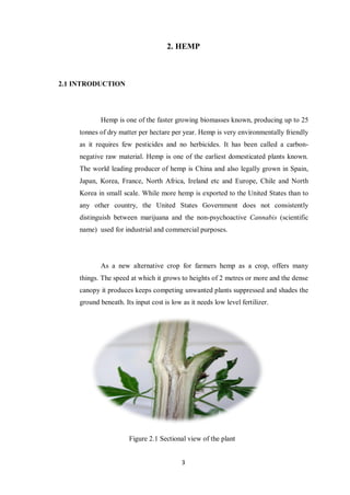 3
2. HEMP
2.1 INTRODUCTION
Hemp is one of the faster growing biomasses known, producing up to 25
tonnes of dry matter per hectare per year. Hemp is very environmentally friendly
as it requires few pesticides and no herbicides. It has been called a carbon-
negative raw material. Hemp is one of the earliest domesticated plants known.
The world leading producer of hemp is China and also legally grown in Spain,
Japan, Korea, France, North Africa, Ireland etc and Europe, Chile and North
Korea in small scale. While more hemp is exported to the United States than to
any other country, the United States Government does not consistently
distinguish between marijuana and the non-psychoactive Cannabis (scientific
name) used for industrial and commercial purposes.
As a new alternative crop for farmers hemp as a crop, offers many
things. The speed at which it grows to heights of 2 metres or more and the dense
canopy it produces keeps competing unwanted plants suppressed and shades the
ground beneath. Its input cost is low as it needs low level fertilizer.
Figure 2.1 Sectional view of the plant
 