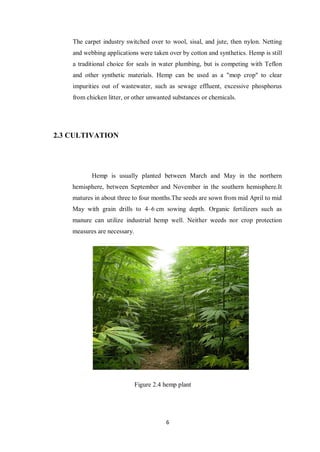 6
The carpet industry switched over to wool, sisal, and jute, then nylon. Netting
and webbing applications were taken over by cotton and synthetics. Hemp is still
a traditional choice for seals in water plumbing, but is competing with Teflon
and other synthetic materials. Hemp can be used as a "mop crop" to clear
impurities out of wastewater, such as sewage effluent, excessive phosphorus
from chicken litter, or other unwanted substances or chemicals.
2.3 CULTIVATION
Hemp is usually planted between March and May in the northern
hemisphere, between September and November in the southern hemisphere.It
matures in about three to four months.The seeds are sown from mid April to mid
May with grain drills to 4–6 cm sowing depth. Organic fertilizers such as
manure can utilize industrial hemp well. Neither weeds nor crop protection
measures are necessary.
Figure 2.4 hemp plant
 