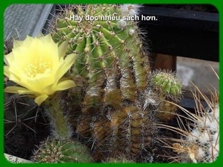 Hãy đọc nhiều sách hơn.Hãy đọc nhiều sách hơn.
 