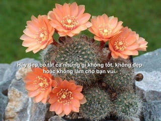 Hãy dẹp bỏ tất cả những gì không tốt, không đẹpHãy dẹp bỏ tất cả những gì không tốt, không đẹp
hoặc không làm cho bạn vui.hoặc không làm cho bạn vui.
 