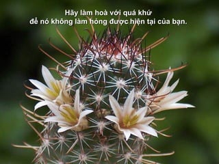 Hãy làm hoà với quá khứHãy làm hoà với quá khứ
để nó không làm hỏng đượcđể nó không làm hỏng được hiện tại của bạn.hiện tại của bạn.
 