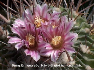 Đừng làm quá sức. Hãy biết gìới hạn của mình.Đừng làm quá sức. Hãy biết gìới hạn của mình.
 