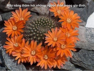 Hãy năng thăm hỏi những người thân trong gia đình.Hãy năng thăm hỏi những người thân trong gia đình.
 
