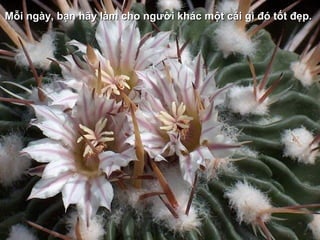 Mỗi ngày, bạn hãy làm cho người khác một cái gì đó tốt đẹp.Mỗi ngày, bạn hãy làm cho người khác một cái gì đó tốt đẹp.
 