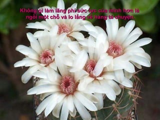 KhKhông gì làm lãng phí sức lực của mình hơn làông gì làm lãng phí sức lực của mình hơn là
ngồi một chỗ và lo lắng về hàng tá chuyện.ngồi một chỗ và lo lắng về hàng tá chuyện.
 