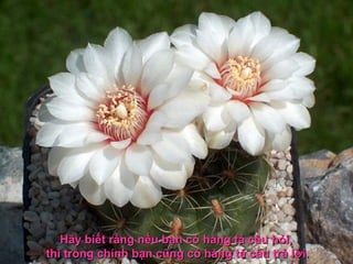 Hãy biết rằng nếu bạn cóHãy biết rằng nếu bạn có hàng tá câu hỏi,hàng tá câu hỏi,
thì trong chính bạn cũng có hàng tá câu trả lời.thì trong chính bạn cũng có hàng tá câu trả lời.
 