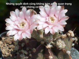 NhNhững quyết định cũng không kém phần quan trọngững quyết định cũng không kém phần quan trọng
như những cơ hội mà bạn có.như những cơ hội mà bạn có.
 