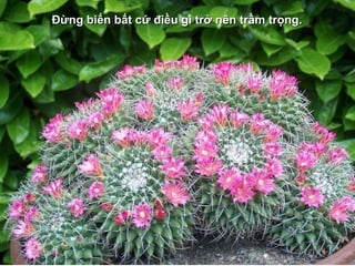 ĐĐừng biến bất cứ điều gì trở nên trầm trọng.ừng biến bất cứ điều gì trở nên trầm trọng.
 