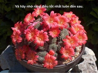 Và hãy nhVà hãy nhớớ rằng điều tốt nhất luôn đến sau.rằng điều tốt nhất luôn đến sau.
 