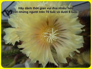 Hãy dành thời gian vui đùa nhiều hơnHãy dành thời gian vui đùa nhiều hơn
với những người trên 70 tuổi và dưới 6 tuổi.với những người trên 70 tuổi và dưới 6 tuổi.
 
