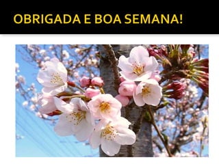 Semiologia dos Edemas