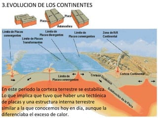 3.EVOLUCION DE LOS CONTINENTES En este periodo la corteza terrestre se estabiliza. Lo que implica que tuvo que haber una tectónica de placas y una estructura interna terrestre similar a la que conocemos hoy en día, aunque la diferenciaba el exceso de calor. 