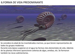 Se considera la edad de los invertebrados marinos, ya que tienen representantes de todos los grupos modernos Durante esta época surgieron en el agua las formas más elementales de vida. Además de las plantas inferiores aparecieron colonias de algas, amebas, etc. Se formaron también las rocas sedimentarias. 6.FORMA DE VIDA PREDOMINANTE 