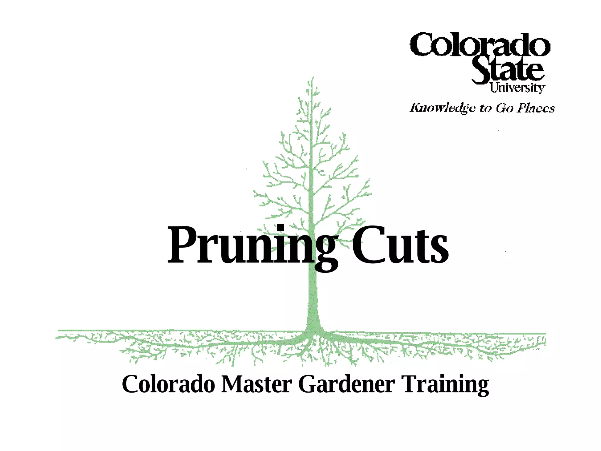 4a Basic Pruning Cuts & Codit | PPT